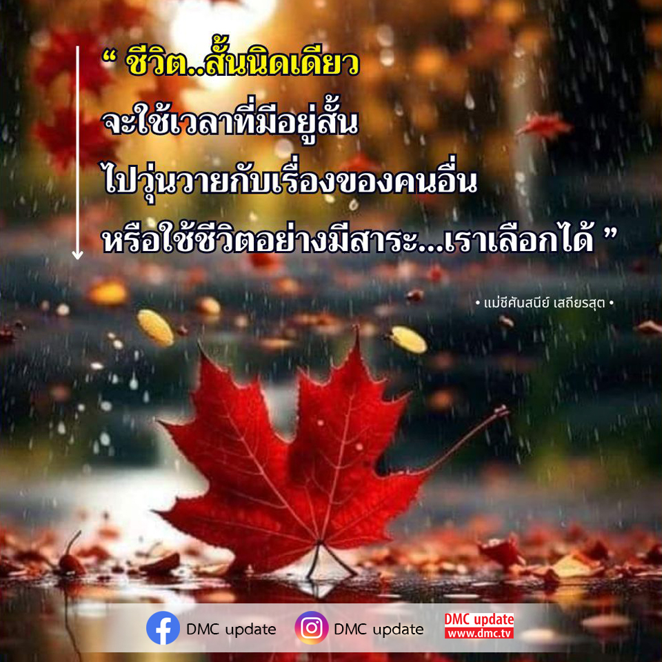 ค้นพบแนวทางในการใช้ชีวิตอย่างมีสาระจากคำสอนของแม่ชีศันสนีย์ เสถียรสุต ว่าด้วยการเลือกใช้เวลาที่มีอยู่ในชีวิตอย่างมีคุณค่าและไม่วุ่นวายกับเรื่องของคนอื่น