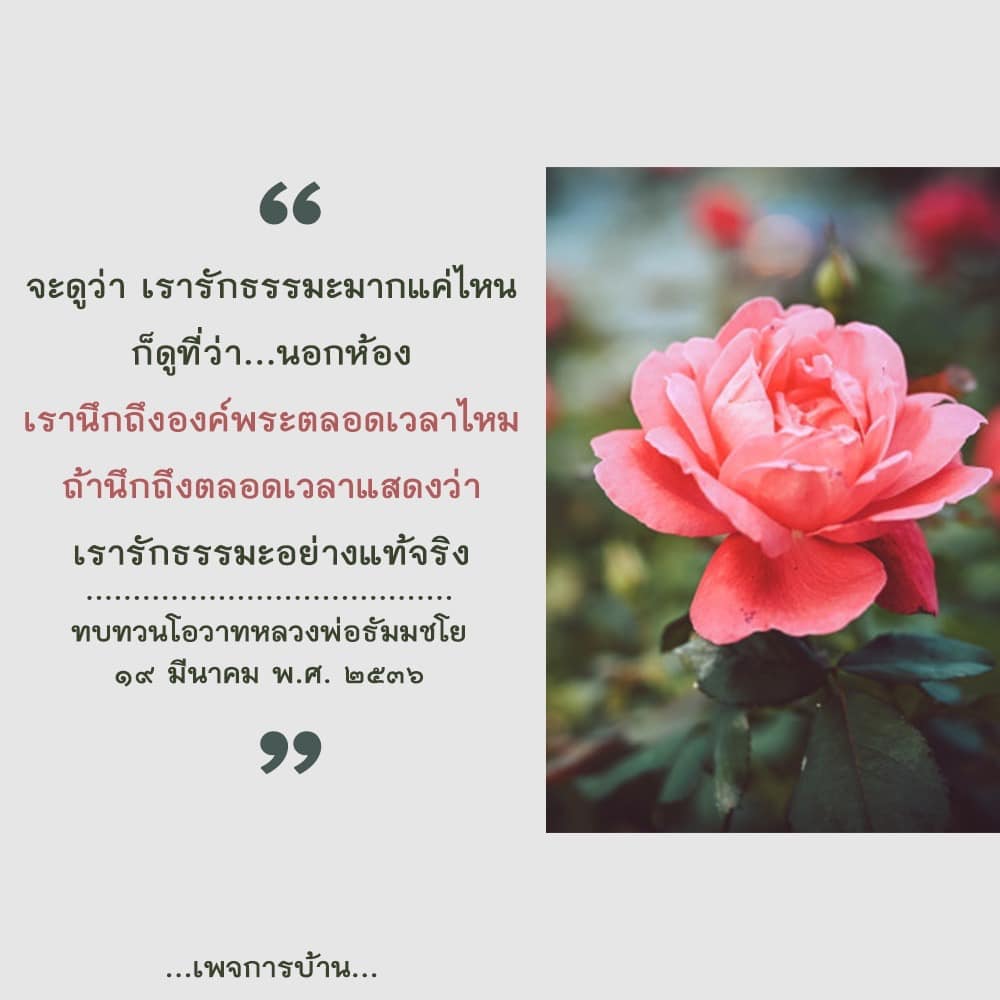 สำรวจความรักในธรรมะผ่านการทบทวนโอวาทจากหลวงพ่อธัมมชโย และตรวจสอบว่าคุณนึกถึงองค์พระในชีวิตประจำวันมากน้อยเพียงใด เพื่อเสริมสร้างความสงบและการพัฒนาจิตใจ
