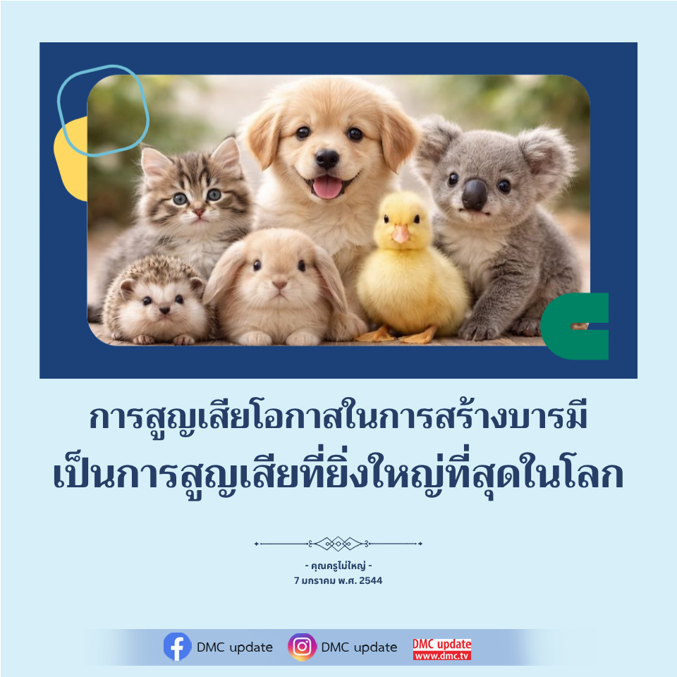 การสูญเสียโอกาสในการสร้างบารมี - คุณครูไม่ใหญ่