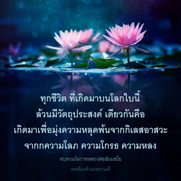 ทุกชีวิตมีวัตถุประสงค์ในการหลุดพ้นจากกิเลสอาสวะ เช่น ความโลภ ความโกรธ และความหลง มาร่วมทบทวนโอวาทจากหลวงพ่อธัมมชโย เพื่อค้นพบความหมายและจุดมุ่งหมายที่แท้จริงของชีวิตในเพจต้นกล้าแห่งความดี