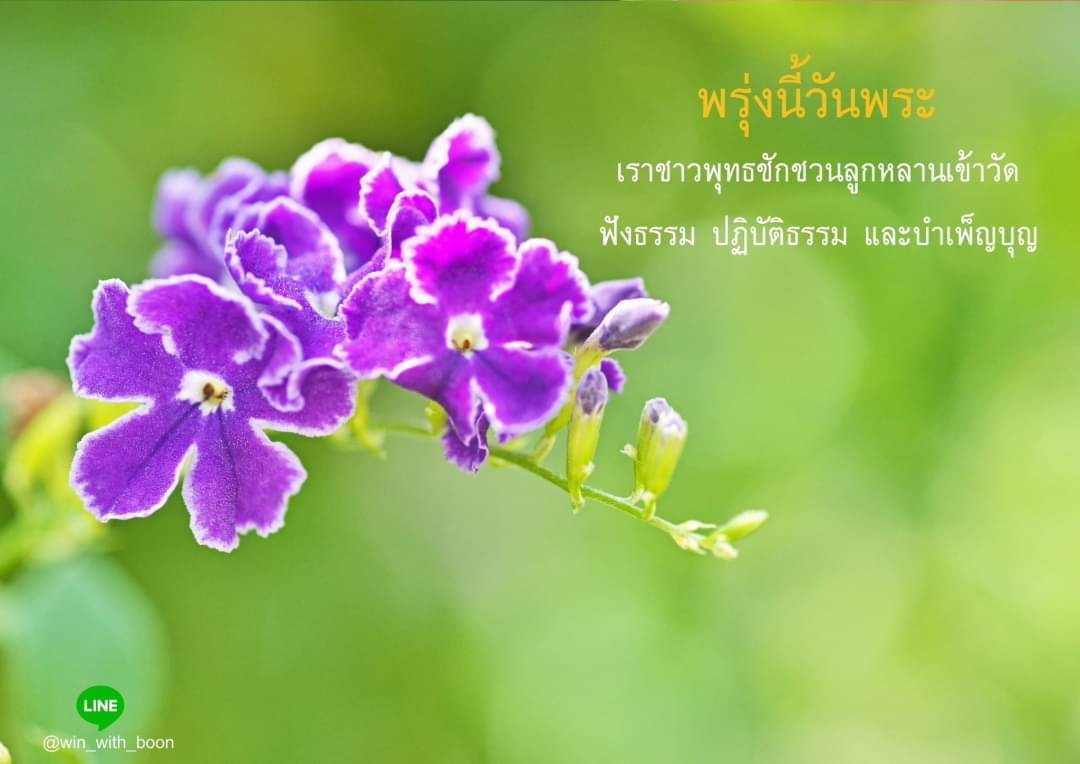 ภาพ No.6284:การ์ดแสดงความยินดี