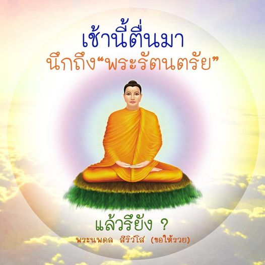 การ์ด No.11360:ภาพสวัสดียามเช้า