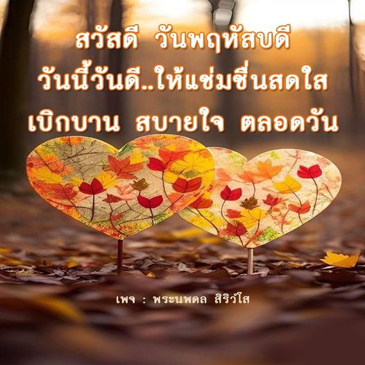 การ์ด No.8608:ภาพสวัสดียามเช้า