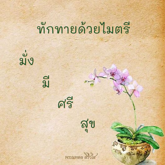 การ์ด No.8414:พระนพดล สิริวํโส