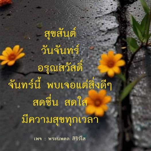 เริ่มต้นวันจันทร์อย่างสดชื่นด้วยคำอวยพรและความสุขจากเพจ พระนพดล สิริวํโส พบเจอแต่สิ่งดีๆ ในชีวิตประจำวัน และมีความสุขทุกเวลา