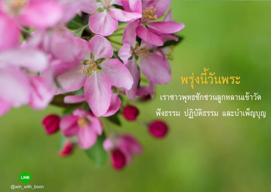 ภาพ No.6286:วันพระ