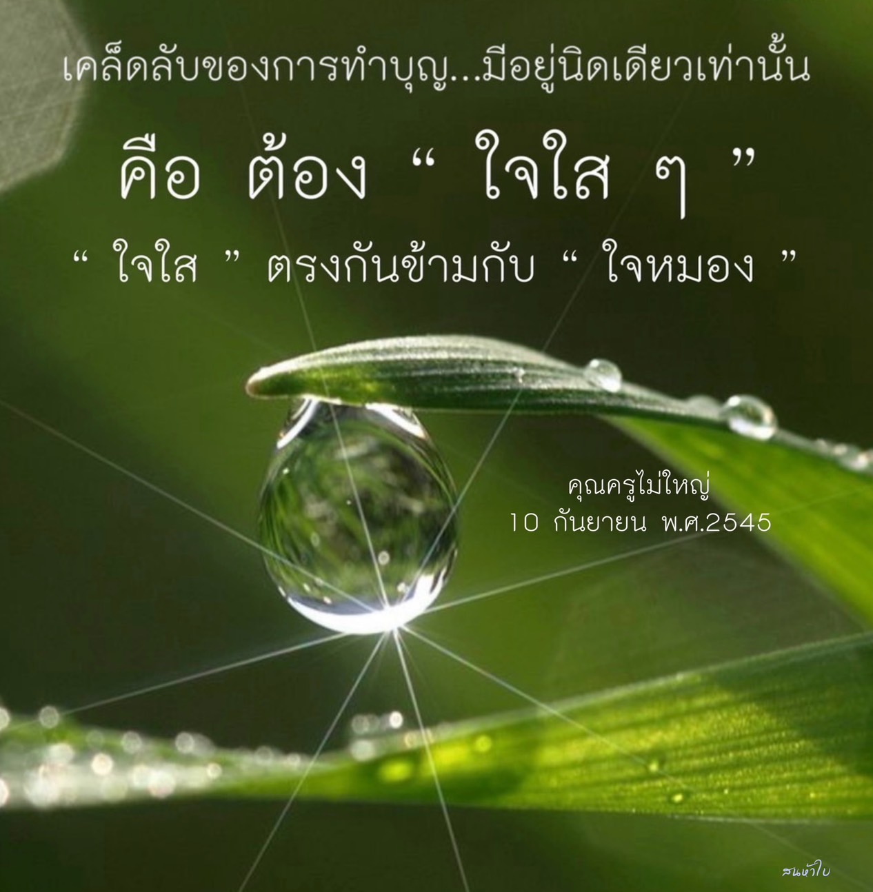 ค้นพบเคล็ดลับการทำบุญที่แท้จริงด้วยการมีใจใส ที่จะช่วยให้คุณสร้างบุญใหญ่ได้ง่ายๆ พร้อมแนวคิดจากคุณครูไม่ใหญ่ ที่จะทำให้การทำบุญของคุณมีความหมายมากยิ่งขึ้น