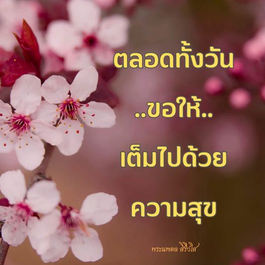 การ์ด No.9648:ภาพสวัสดียามเช้า