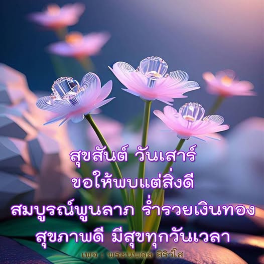 สุขสันต์วันเสาร์! พบกับคำอวยพรที่เต็มไปด้วยความสุขและความเจริญรุ่งเรืองในชีวิต ขอให้ทุกคนมีสุขภาพดี ร่ำรวยเงินทอง และพบแต่สิ่งดีในทุกวันเวลา โดยเฉพาะในวันเสาร์นี้