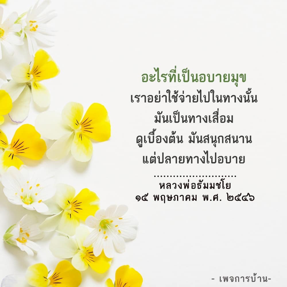 ภาพ No.16496:ทั่วไป