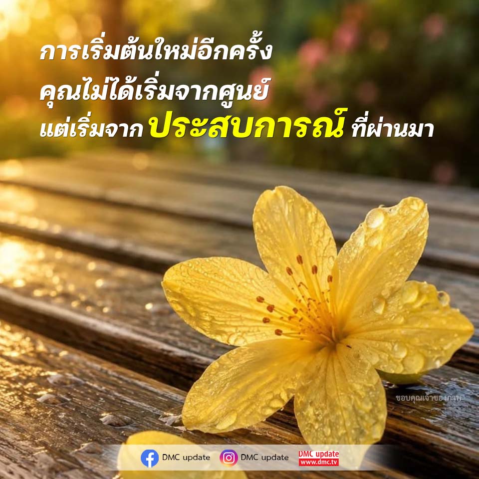 การเริ่มต้นใหม่อีกครั้ง: เรียนรู้จากประสบการณ์ที่ผ่านมา