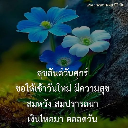 ร่วมเฉลิมฉลองสุขสันต์วันศุกร์กับพระนพดล สิริวํโส ขอให้เช้าวันใหม่เต็มไปด้วยความสุข สมหวัง และเงินไหลมา ตลอดทั้งวัน!