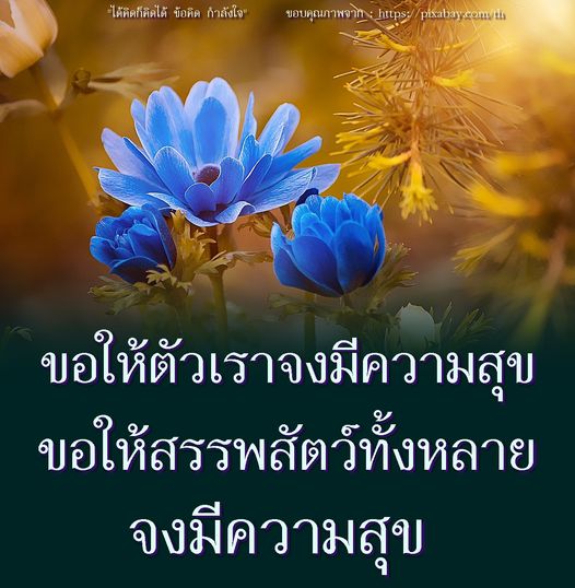 ค้นหาข้อคิดและกำลังใจในการใช้ชีวิตที่ช่วยให้คุณมีความสุข และส่งต่อความสุขให้กับสรรพสัตว์ทั้งหลาย ผ่านบทความที่เต็มไปด้วยแรงบันดาลใจและความคิดดีๆ