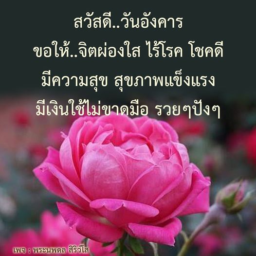 สวัสดีวันอังคาร! ขอให้ทุกคนมีจิตใจที่ผ่องใส ไร้โรคภัย มีโชคลาภและความสุข สุขภาพแข็งแรง และมีเงินใช้ไม่ขาดมือ รวยๆ ปังๆ กับเพจพระนพดล สิริวโส