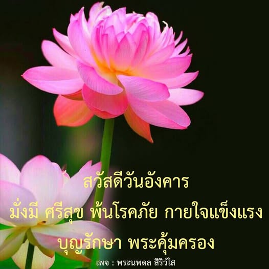 การ์ด No.11871:ภาพสวัสดียามเช้า