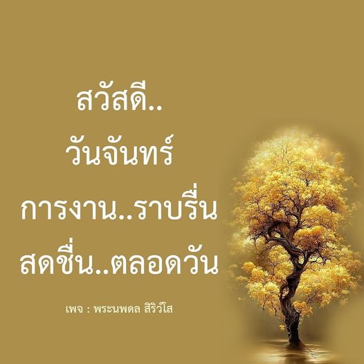 การ์ด No.8055:ภาพสวัสดียามเช้า