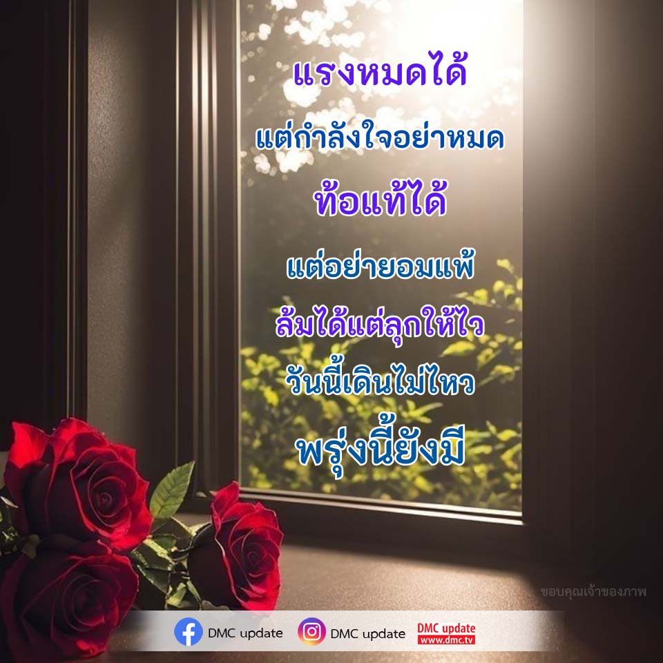 ภาพ No.16254:กำลังใจให้คุณ