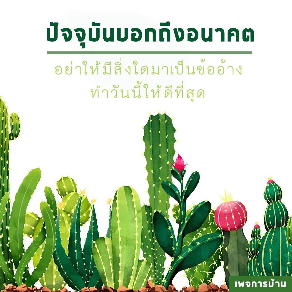 ภาพ No.17963:ทั่วไป