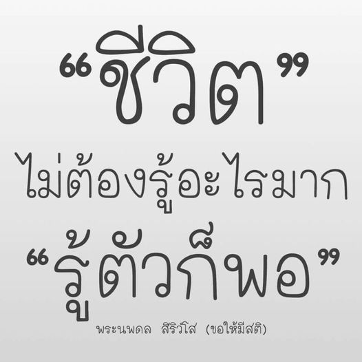 การ์ด No.9289:พระนพดล สิริวํโส