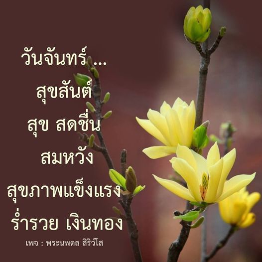 การ์ด No.10501:ภาพสวัสดียามเช้า