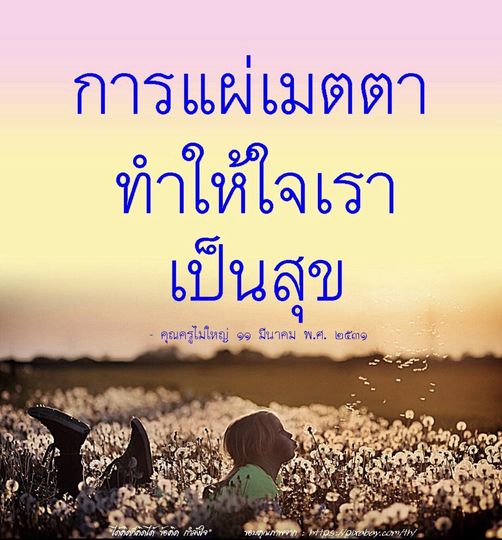 การ์ด No.11145:คำสอนหลวงพ่อธัมมชโย