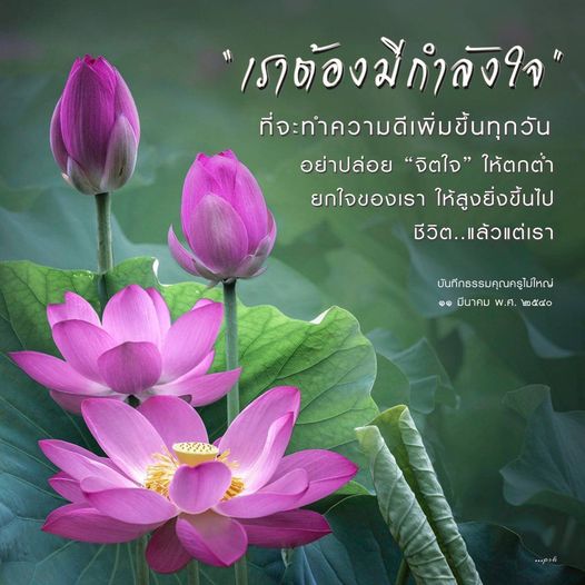 ค้นพบวิธีการสร้างกำลังใจในการทำความดีทุกวัน และยกระดับจิตใจของคุณให้สูงขึ้นผ่านแนวคิดจากบันทึกธรรมของคุณครูไม่ใหญ่ ในวันที่ 1 มีนาคม พ.ศ. 2540
