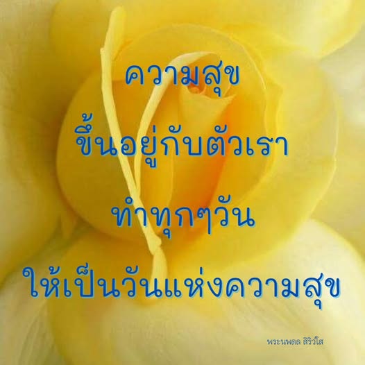 การ์ด No.11893:พระนพดล สิริวํโส