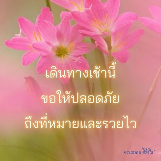 การ์ด No.8756:พระนพดล สิริวํโส