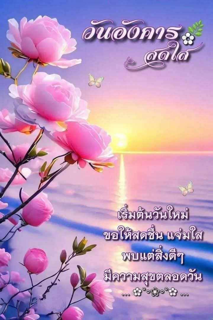 การ์ด No.14957:ภาพสวัสดียามเช้า