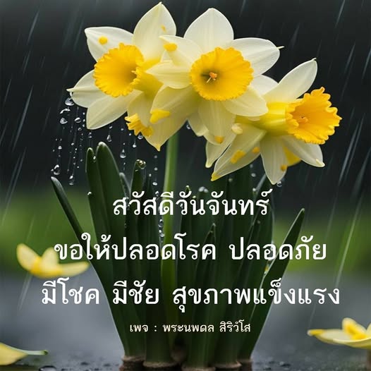 การ์ด No.12325:ภาพสวัสดียามเช้า
