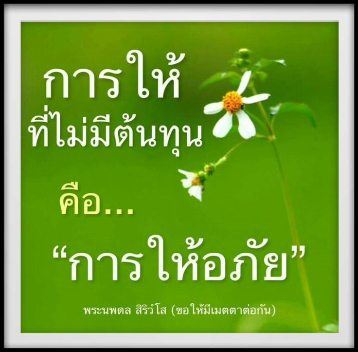 ภาพ No.15967:พระนพดล สิริวํโส