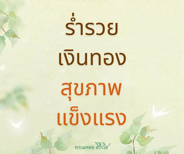 การ์ด No.11049:พระนพดล สิริวํโส