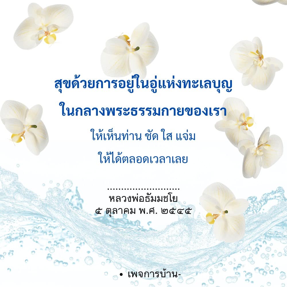 ภาพ No.16545:ทั่วไป