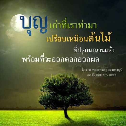 สำรวจความหมายของบุญเก่าที่เราทำมา เปรียบเสมือนต้นไม้ที่ปลูกมานาน พร้อมที่จะออกดอกออกผลตามโอวาทของพระเทพญาณมหามุนี ในวันที่ ๑๓ ธันวาคม พ.ศ. ๒๕๕๖