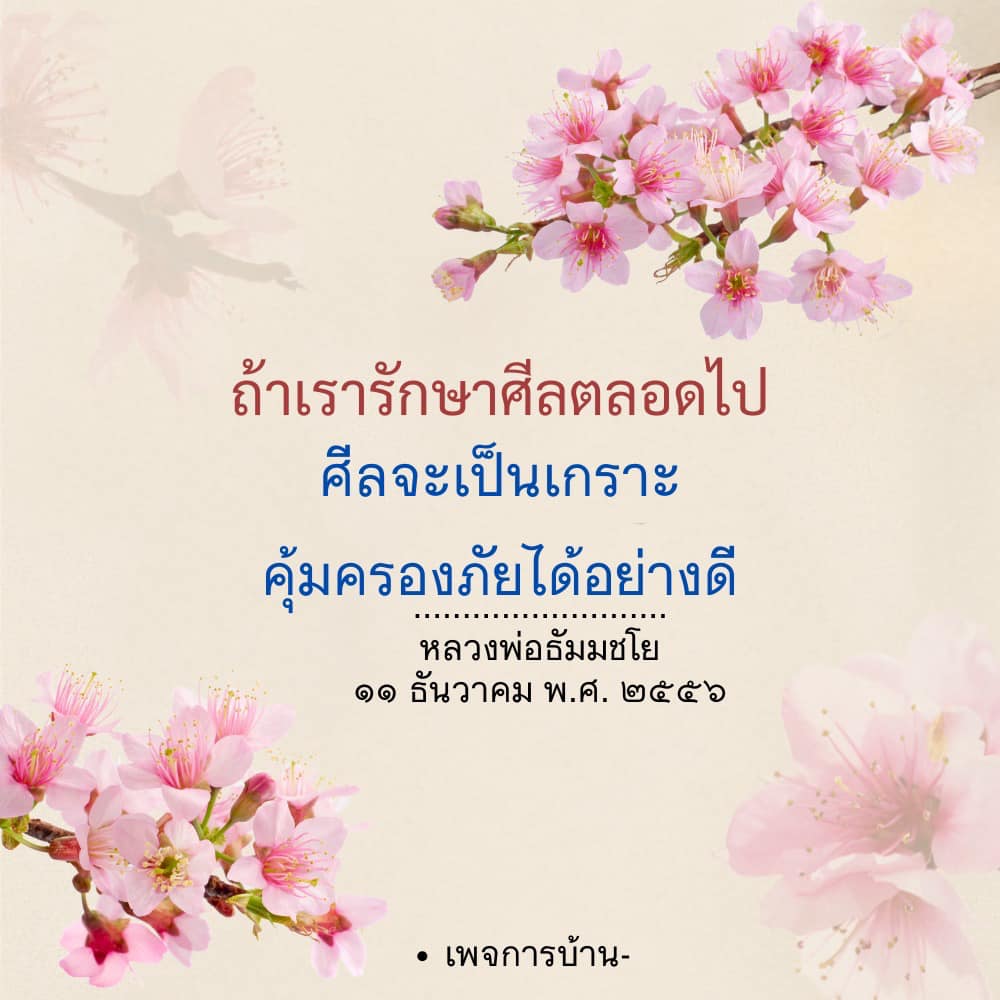 ภาพ No.16860:ทั่วไป