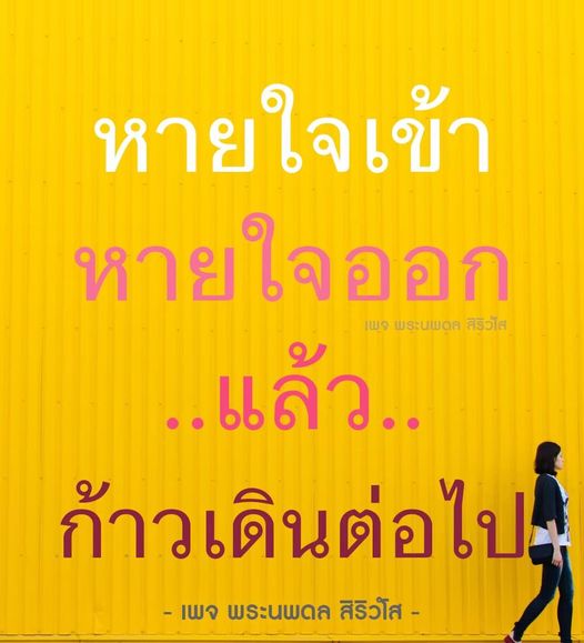 การ์ด No.9279:พระนพดล สิริวํโส