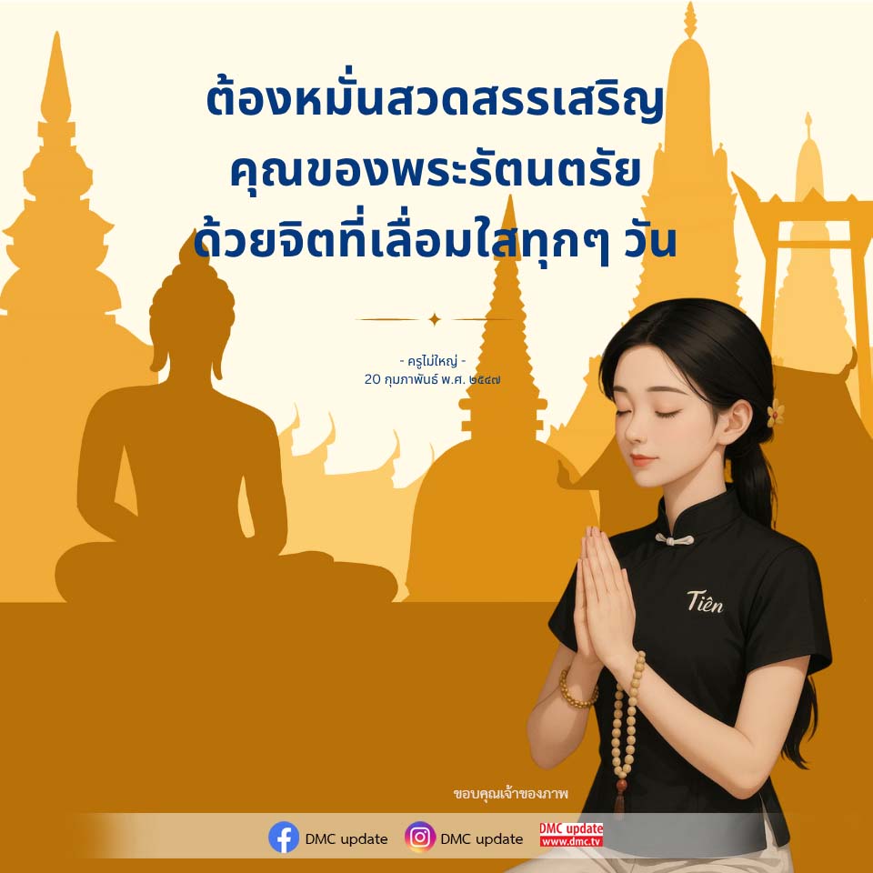ภาพ No.16608:ทั่วไป