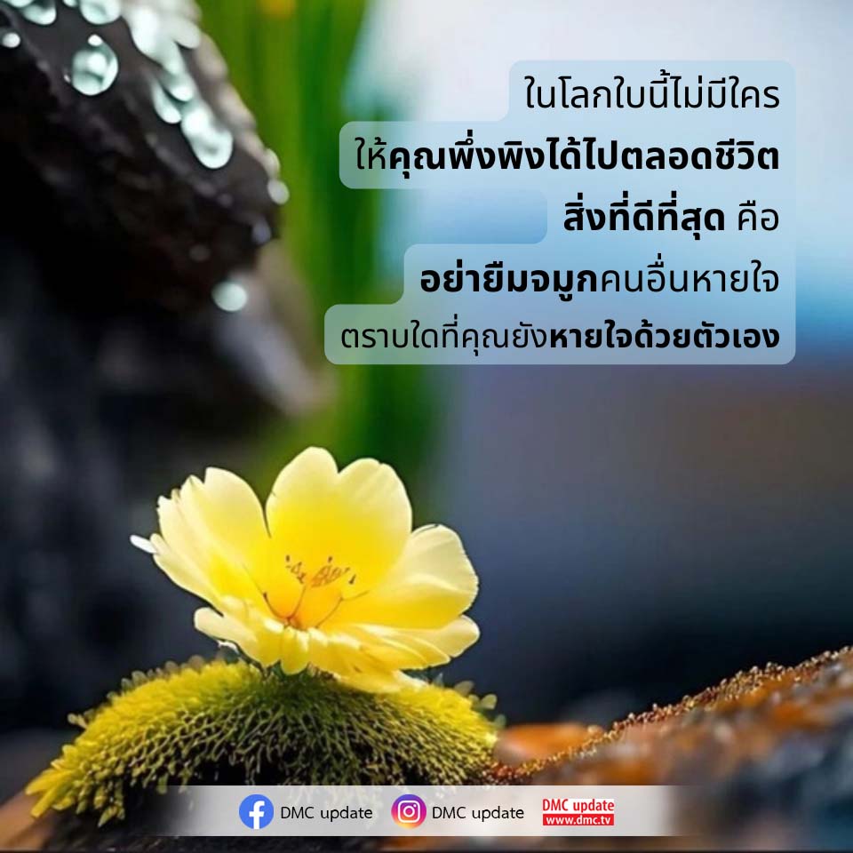การพึ่งพาตนเอง: เคล็ดลับในการใช้ชีวิตอย่างมีความสุข