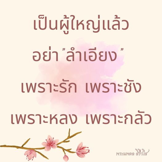 การ์ด No.9788:พระนพดล สิริวํโส