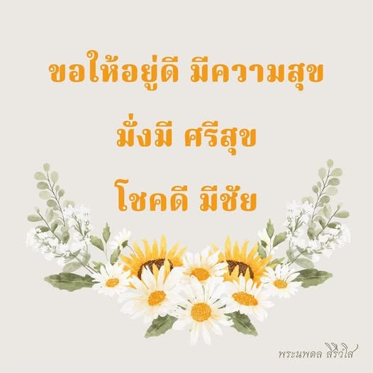 การ์ด No.13434:พระนพดล สิริวํโส