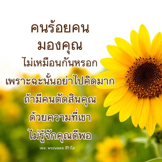 อ่านบทความจากพระนพดล สิริวโส ที่ชี้ให้เห็นว่า คนร้อยคนมองคุณไม่เหมือนกัน อย่าให้การตัดสินของคนอื่นมาทำให้คุณรู้สึกแย่ เพราะพวกเขาอาจไม่รู้จักคุณดีพอ