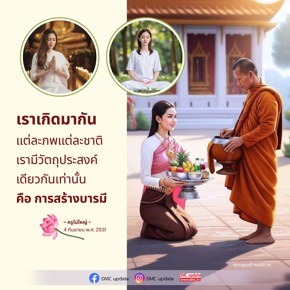 ภาพ No.16879:ทั่วไป