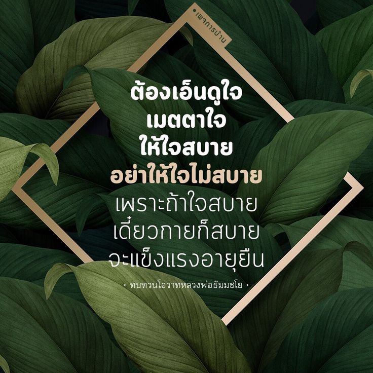 เพจการบ้านที่นำเสนอแนวทางการเอ็นดูและเมตตาต่อใจ เพื่อให้จิตใจสบายและแข็งแรงตามหลักโอวาทของหลวงพ่อธัมมชโย ทบทวนแนวคิดเพื่อการมีอายุยืนและสุขภาพจิตที่ดี