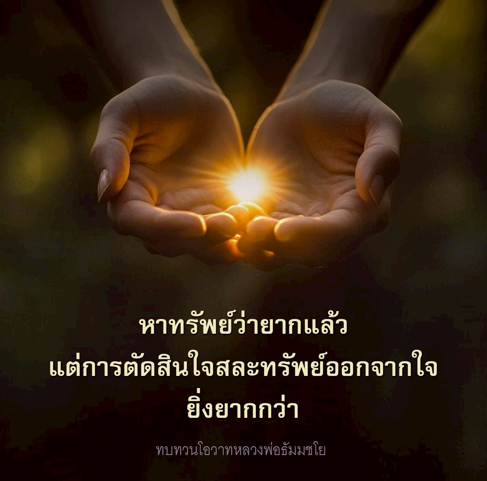 ภาพ No.17829:ทั่วไป