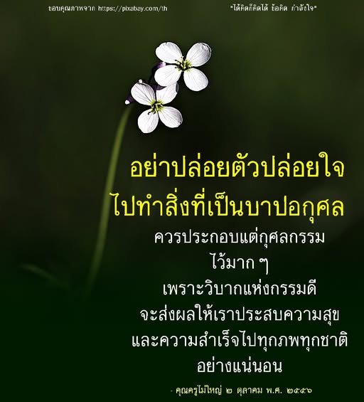 อ่านข้อคิดจากคุณครูไม่ใหญ่เกี่ยวกับการทำกุศลกรรมและการหลีกเลี่ยงบาปอกุศล เพื่อส่งเสริมความสุขและความสำเร็จในชีวิตในทุกภพทุกชาติ