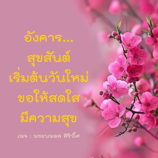 การ์ด No.14336:ภาพสวัสดียามเช้า