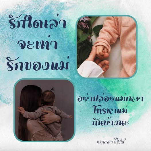 การ์ด No.12063:พระนพดล สิริวํโส