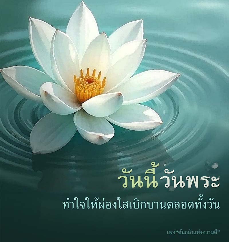 การ์ด No.13793:วันพระ
