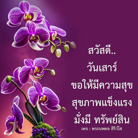การ์ด No.13074:ภาพสวัสดียามเช้า