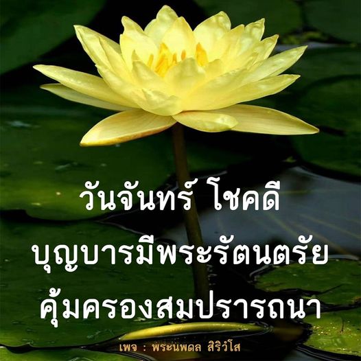 การ์ด No.9249:ภาพสวัสดียามเช้า